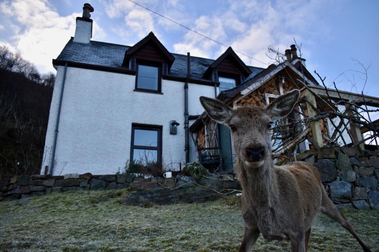 Ardmore House B&B ロッキンヴァー エクステリア 写真